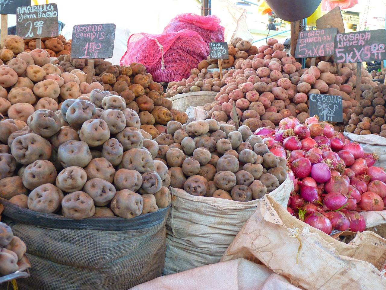 How to Travel Sustainably in Peru’s Sacred Valley